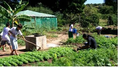 Jovens no campo...